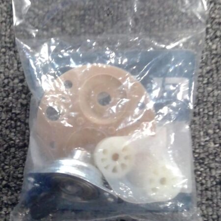 PUMP DIAPHRAGM KIT W/ BRG 21004-401